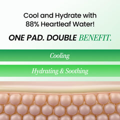 DERMALOGY heartleaf pad closeup reveals the textured surface for easy use.