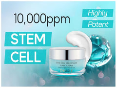 Dermanex Danique Stem Cell Rejuvenate cream texture closeup shows silky application