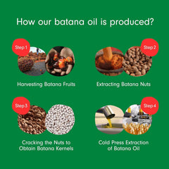 Hair application of Dersie Batana Oil for shine and softness