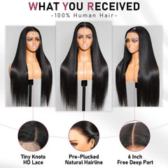 Dheridy 13x6 HD lace front wig back view showing full density