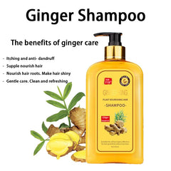 Ginaday shampoo lather shows rich cream foam with ginger aroma