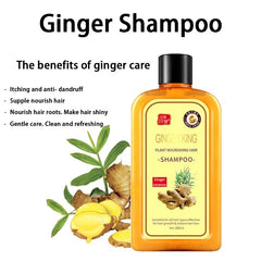 Dosoecse Ginaday Ginger Shampoo foam-lather ready for a refreshing wash.