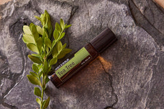 doTERRA Melaleuca Touch roller head for targeted application