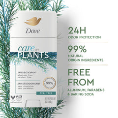 Dove Care by Plants Tea Tree Deodorant Fragrance communicates natural, refreshing tea tree scent.