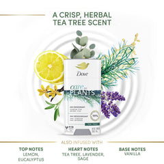 Dove Care by Plants Tea Tree Deodorant Stick closeup emphasizes even, gentle application.
