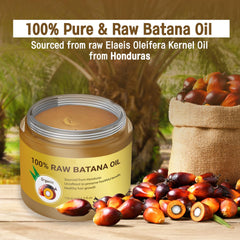 Dr. Sebi Batana Oil applied to scalp for deep hydration
