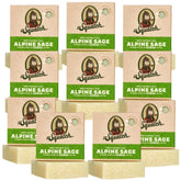 Dr. Squatch Alpine Sage bar soap pack for a durable shower routine and fresh scent.