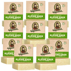 Dr. Squatch Alpine Sage bar soap pack for a durable shower routine and fresh scent.