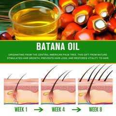 Dvoevivh Batana Oil hair shine after use suggests smoother strands.