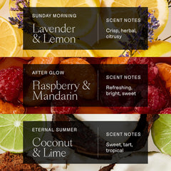 Three-pack deodorant box showing all scents for trial and travel convenience.