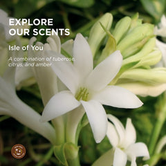 Earthly Body Isle of You scent bottle highlights tuberose, citrus and amber aroma