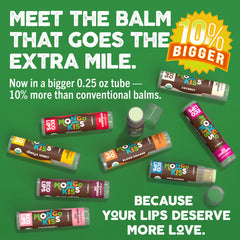 Person holds Eco Lips Mongo Kiss six-pack for on-the-go lip care.