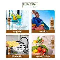 Elemental Wellness Probiotic Castile Soap natural ingredients highlight skin-friendly botanicals