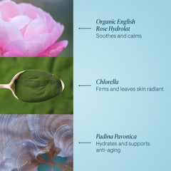 ELEMIS Rose Hydrolat bottle close-up emphasizing soothing rose water