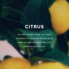 Close-up of pure essential oils in EO formula highlighting plant-based ingredients