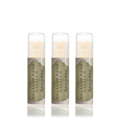 Evanhealy whipped shea butter lips 3-pack for daily hydration and smooth lips on the go.