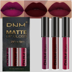 evpct 3Pcs dark red plum matte lipstick set packaging, premium gift-ready presentation.