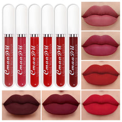 evpct 6pcs liquid matte lipstick set packaging overview for gifting and display