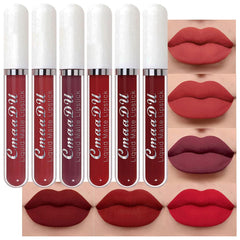 evpct 6Pcs matte lipstick set packaging showcases premium gift-ready presentation.
