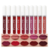 evpct 10-piece matte lipstick set swatches showing rich, long-lasting colors.