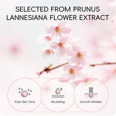 Fashion Base Sakura Cleanser bottle ready for daily use.