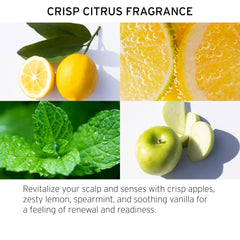 FEKKAI Apple Cider Detox packaging box showcasing the 3-step bundle.