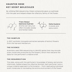 Future Society Haunted Rose rose note visual evoking romantic floral scent