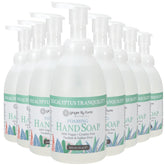 Ginger Lily Farms Botanicals foaming hand soap refill pump for gentle daily cleansing