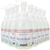 Ginger Lily Farms Botanicals refill bottle with foaming pump for easy hand washing