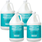 Ginger Lily Farms Salon Formula Argan Oil Conditioner bottle delivering weightless hydration for all hair types.