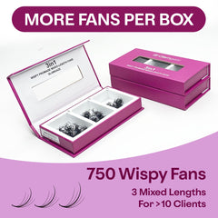 Three mixed lengths from Glamgaze promade fans allow flexible lash styling.