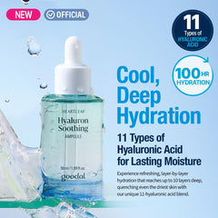 GOODAL Heartleaf Hyaluron Ampoule texture shows quick absorption.