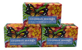 Greenwich Bay Coconut Mango Shea Butter Soap bar closeup mostrando una espuma densa y ingredientes nutritivos