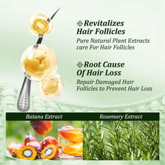 Gypsophila Batana Oil Shampoo demonstrates added volume and shine on hair.