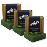 Hemlock Park Genovese Basil moisturizing shea butter bar in a 3-bar set.