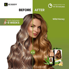 HERBBY application on dry hair highlights at home color personalization