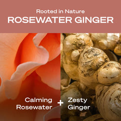 Creamy lather from Hey Humans Rosewater Ginger body wash during a shower