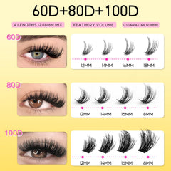 HEYWINK 80D close-up showcases fuller evening lashes