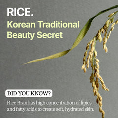 House of Dohwa mini spatula hygienic tool—clean, mess-free cleansing balm application.