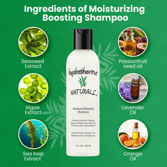 Shampoo applied to scalp demonstrating gentle cleansing and hydration