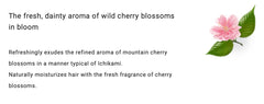 Ichikami Smoothing Shampoo Refill hair movement close up reveal silky manageability.
