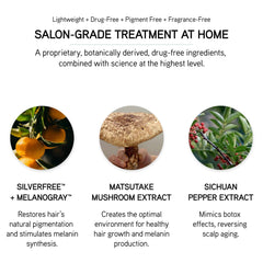 ILES FORMULA Grey Delay Booster ingredients Silverfree Melanogray emphasize botanical color maintenance.