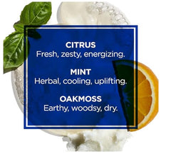 All Over Wash foam lather ready to cleanse efficiently without harsh residue
