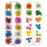 Jauomune dried flowers for nail art petals in colorful 3D sets for DIY manicures.