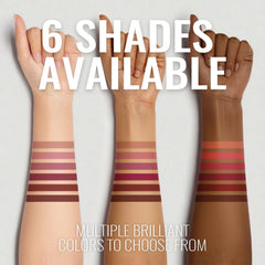Jolilab Lip Stain Set four colors swatch showing pigment variety