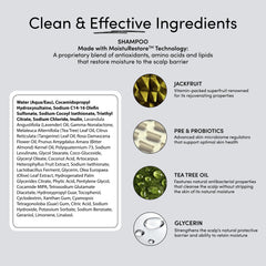 Jupiter Tea Tree Oil ingredient close-up signaling refreshing scalp care.