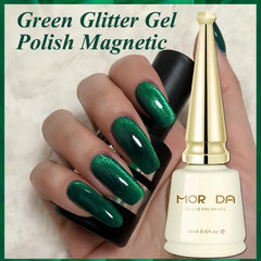 KAHSOSE easy-application cat eye gel polish setup