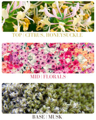 Kailuna Co travel-size honeysuckle mist ready for on-the-go scent.
