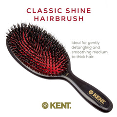 Grooming action showing Kent CSML brush detangling long hair.