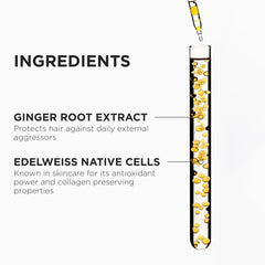 Close-up of ginger root enhances Genesis Hydra-Fortifiant formula.